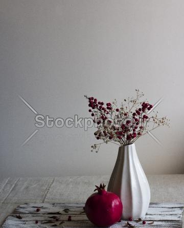 عکس طبیعت یلدا