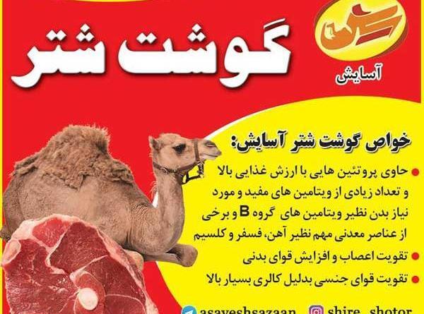 عکس شتر غول پیکر