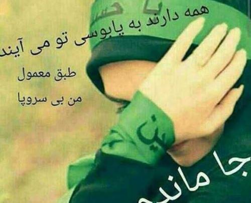 عکس نوشته در آرزوی کربلا