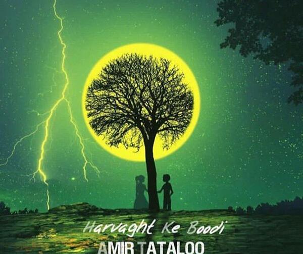 عکس تتلو روی درخت