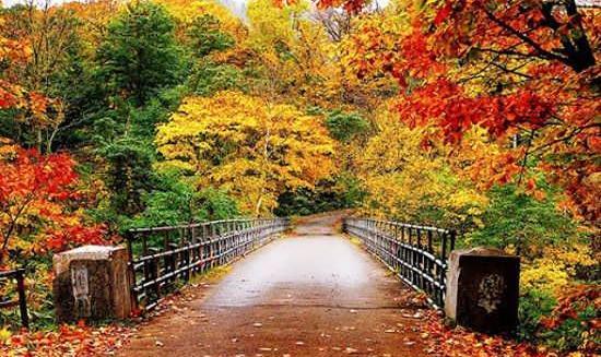 عکس منظره نارنجی