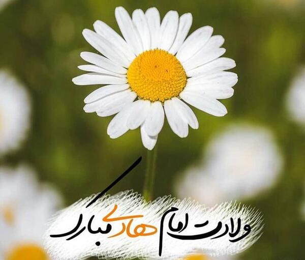 عکس نوشته تولد حضرت امام هادی