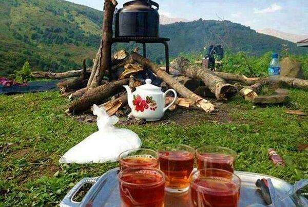 عکس چای چوپان