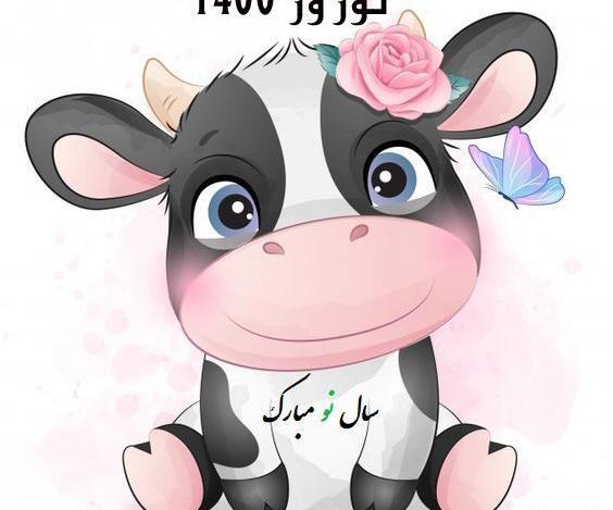عکس گاو تبریک سال نو