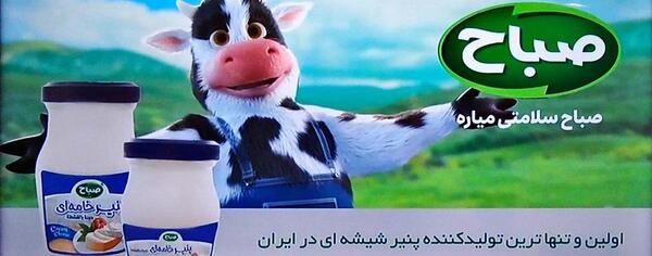 عکس گاو تبلیغ شیر صباح