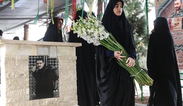 عکس گل لاله نماد شهیدان