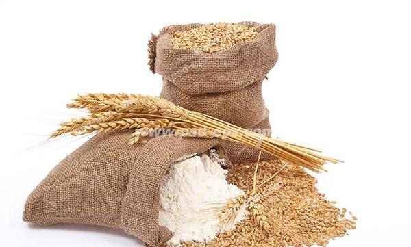 عکس آرد گندم