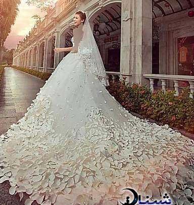 عکس لباس عروس صدفی