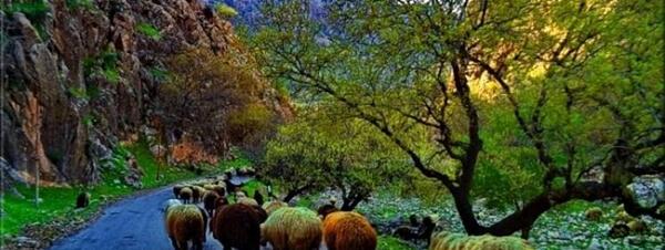 عکس طبیعت لری