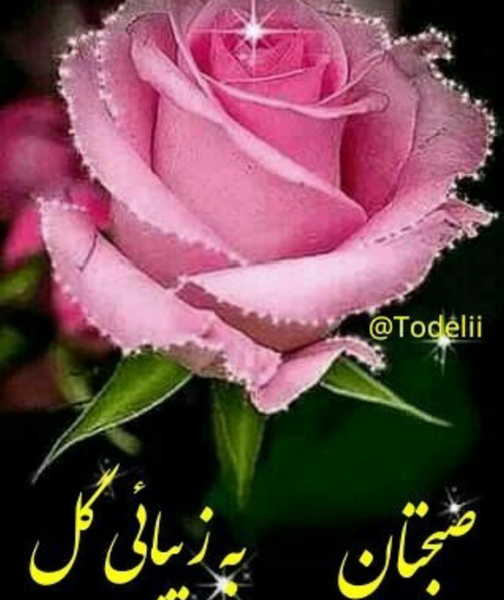 عکس واتساپ صبح بخیر