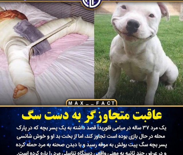 عکس مرد حمله