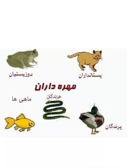 عکس حیوانات مهره داران
