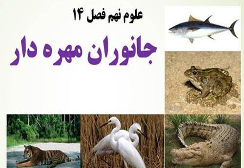 عکس حیوانات مهره داران