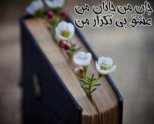عکس نوشته جان من جانان من عشق بی تکرار من