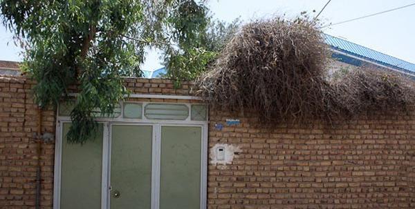 عکس خانه پدری