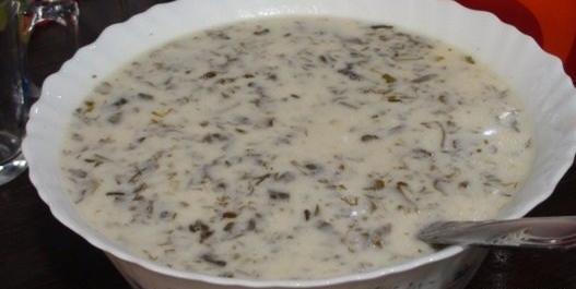 عکس غذا آش دوغ