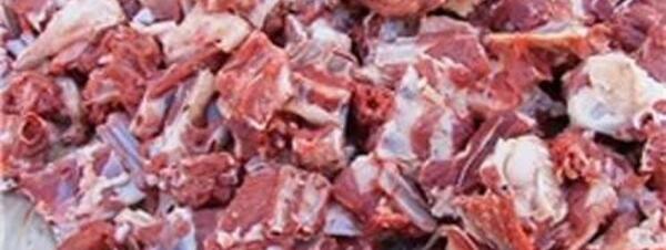 عکس گاو قربانی
