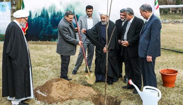 عکس حسن گردو