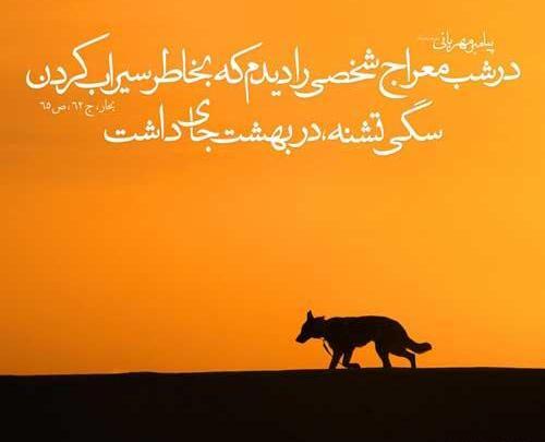 عکس نوشته سخنان امام صادق