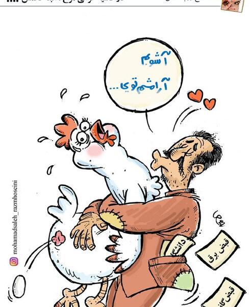 عکس طنز گرانی مرغ