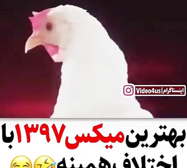 عکس طنز گرانی مرغ