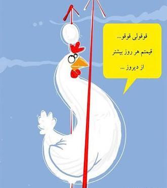 عکس طنز گرانی مرغ