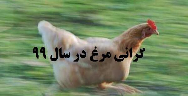 عکس طنز گرانی مرغ