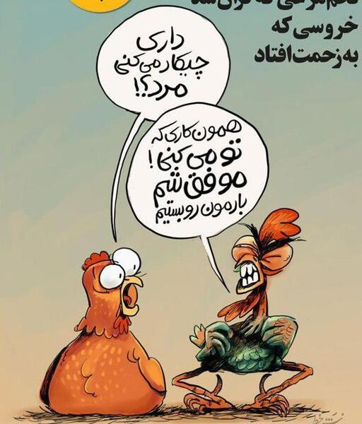 عکس طنز گرانی مرغ