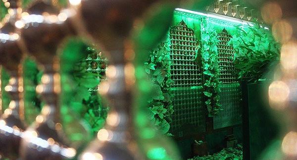 عکس ضریح امام حسین فول اچ دی