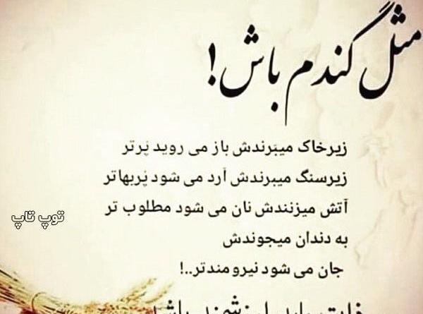 عکس نوشته تیکه دار ادم نفهم
