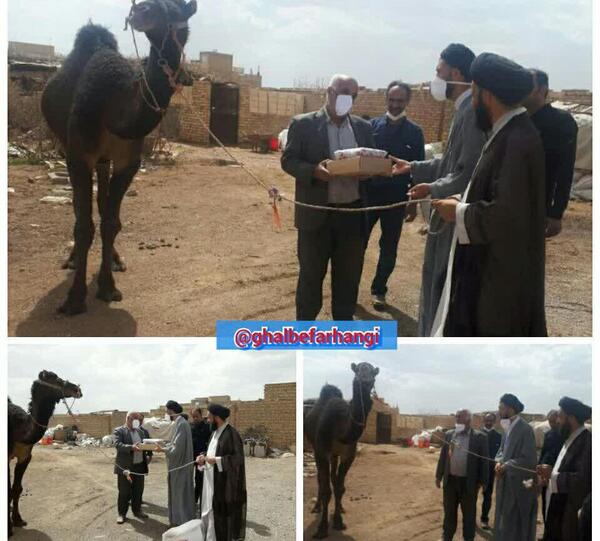 عکس قربانی شتر