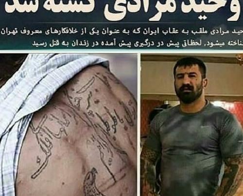 عکس لاتی وحید مرادی
