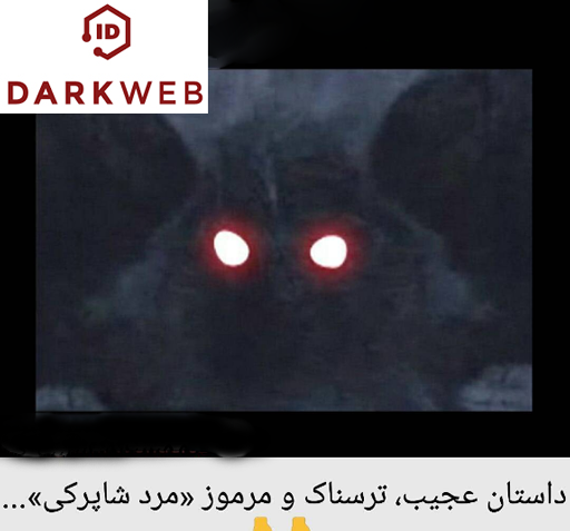 عکس مرد شاپرکی