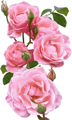 عکسهای زیبا طبیعت متحرک