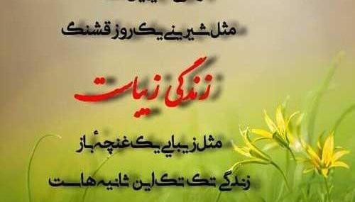 عکس نوشته زندگی شیرین است
