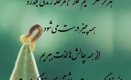 عکس نوشته زندگی شیرین است