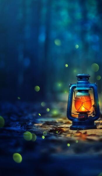 عکس شب فانوس