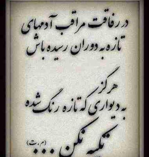 عکس لاتی رفاقتی