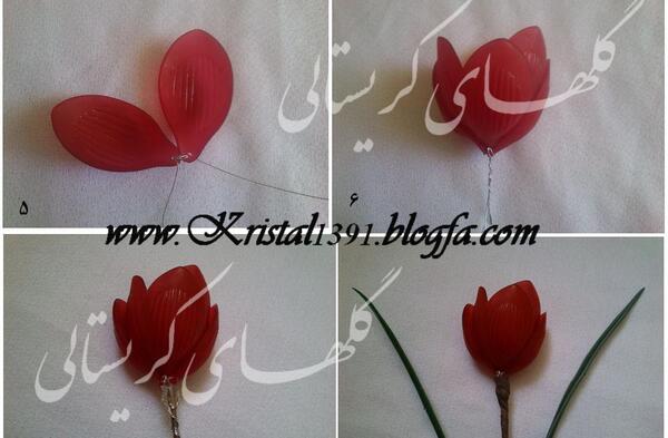 عکس گل لاله کریستالی