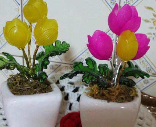 عکس گل لاله کریستالی