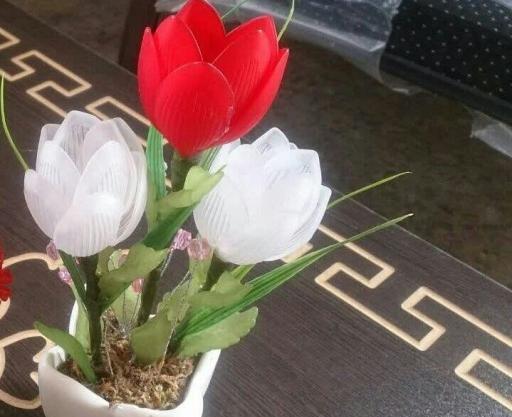 عکس گل لاله کریستالی