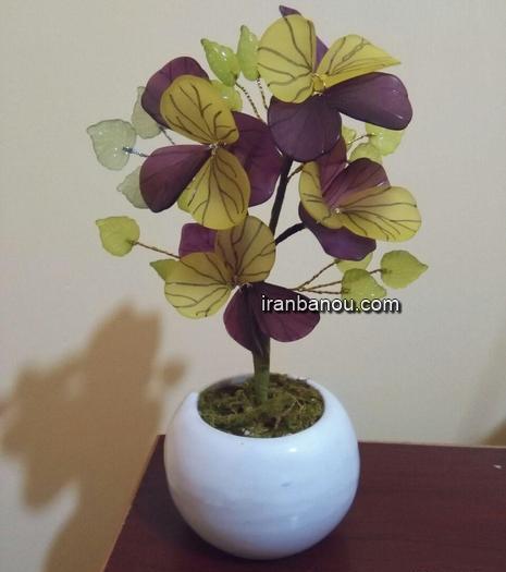 عکس گل لاله کریستالی