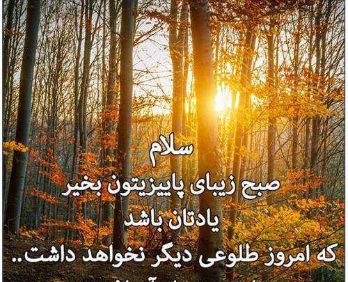 عکس نوشته شب پاییزیتون بخیر