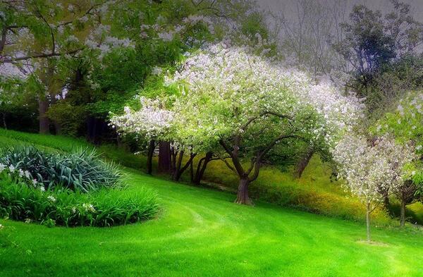 عکس برای پروفایل طبیعت