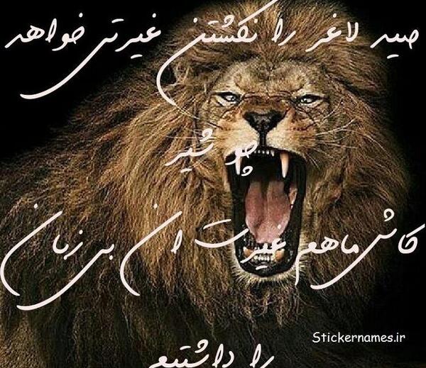عکس شیر جدید