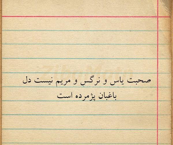 عکس نوشته مریم و نرگس