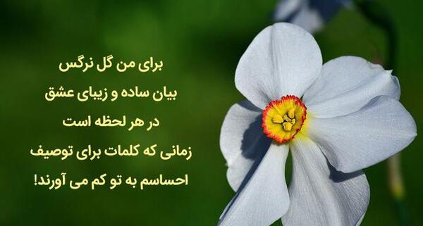 عکس نوشته مریم و نرگس