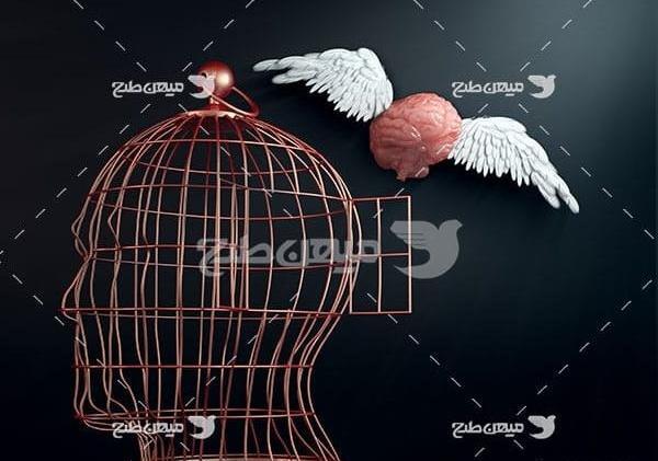 عکس برای ذهن منحرف