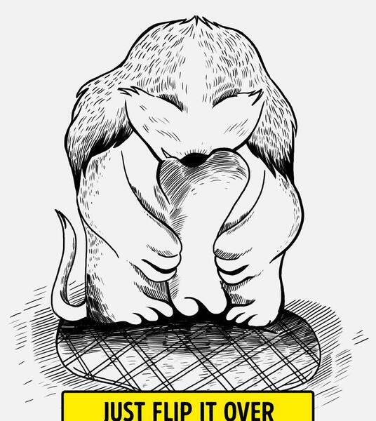 عکس برای ذهن منحرف