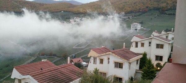 عکس باران سبز